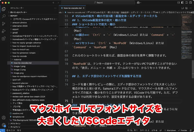 マウスホイールでフォントサイズを大きくしたVSCodeエディタ