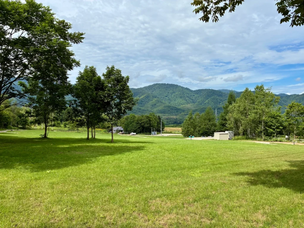 MOUNT NIKIキャンプ場レビュー記事画像｜丘の上カーサイトのを頂上「O9」から丘の麓を眺めたところ。「O9」と「O8」は木々で仕切られている。