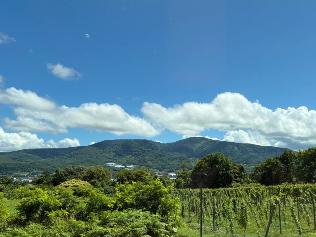 naritayaのカウンター席から見える仁木町の頂白山の景色