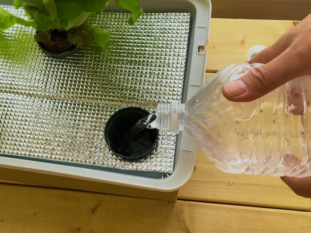 微粉ハイポネックスの培養液を水耕栽培容器に入れる様子